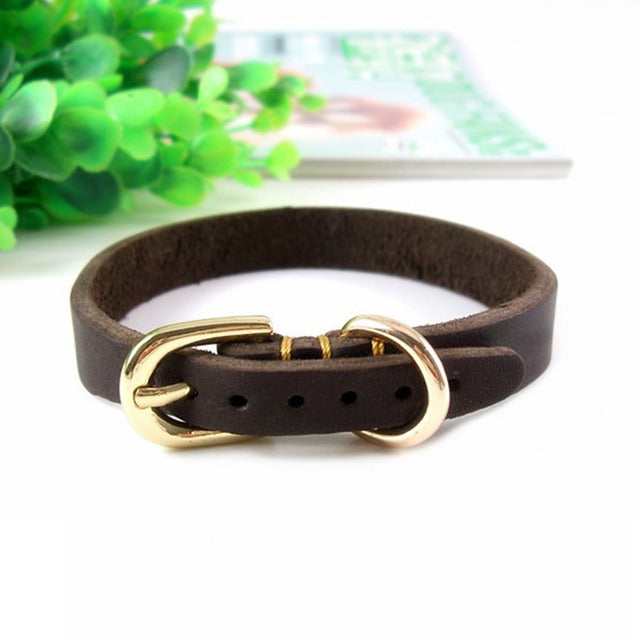 The Ranger Leather Collar — Genuine Leather