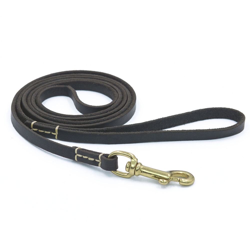 Close-up of The Ranger Leather Leash copper clip and stitching