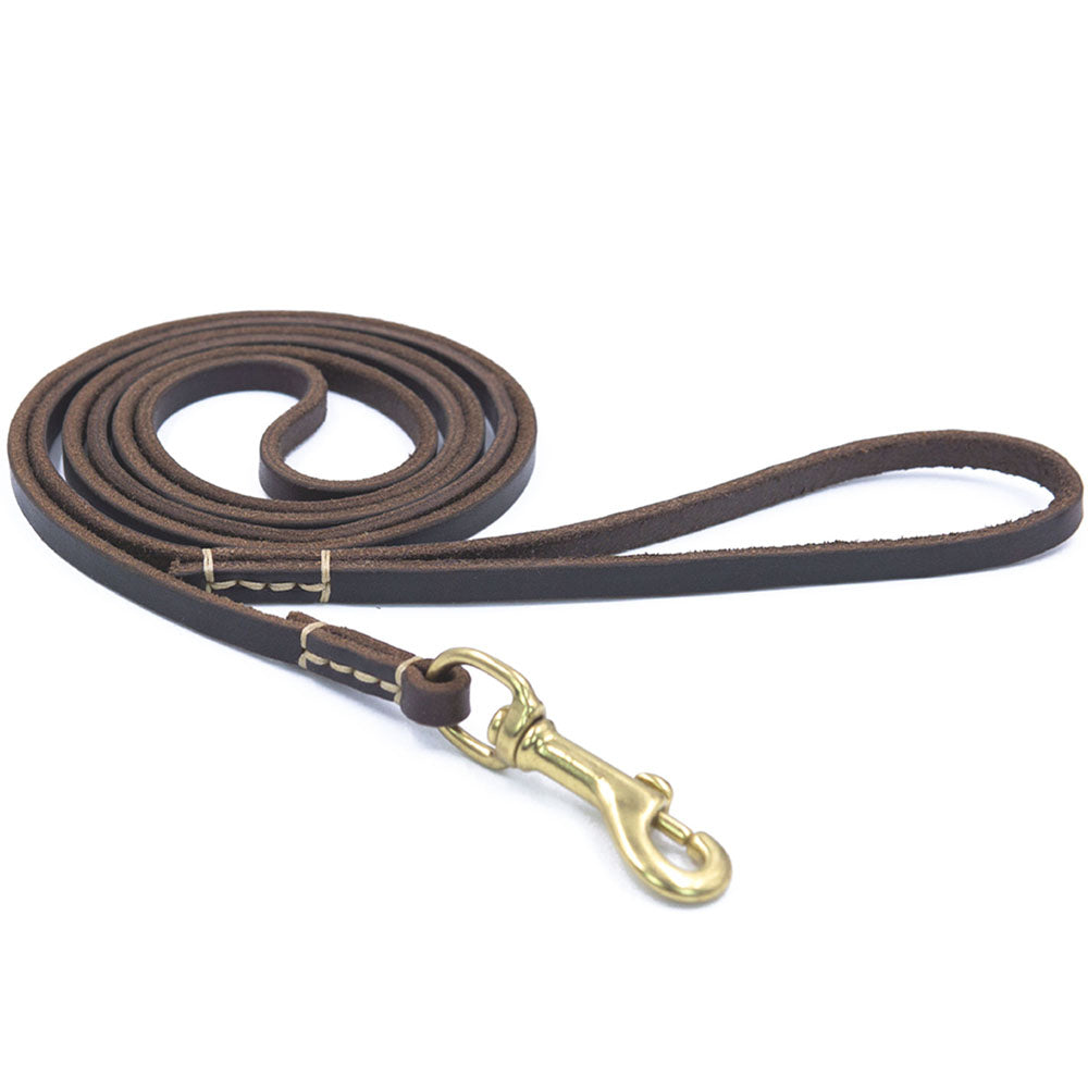 The Ranger Leather Leash in use on a walk