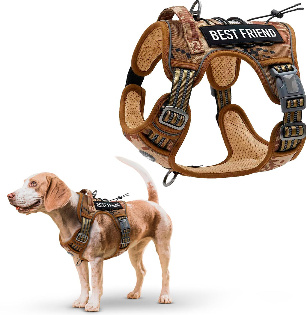 Dog wearing The Trailblazer Adventure Harness on a trail