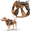 Dog wearing The Trailblazer Adventure Harness on a trail