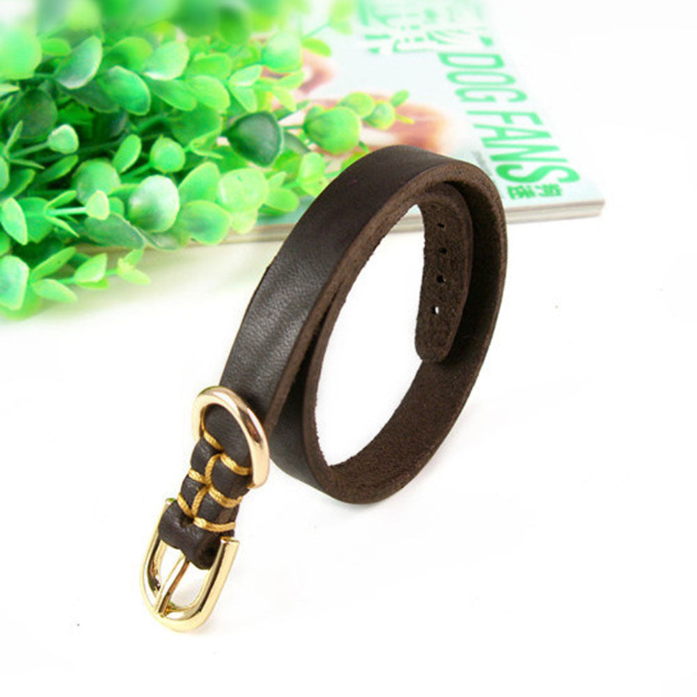 The Ranger Leather Collar, additional product view